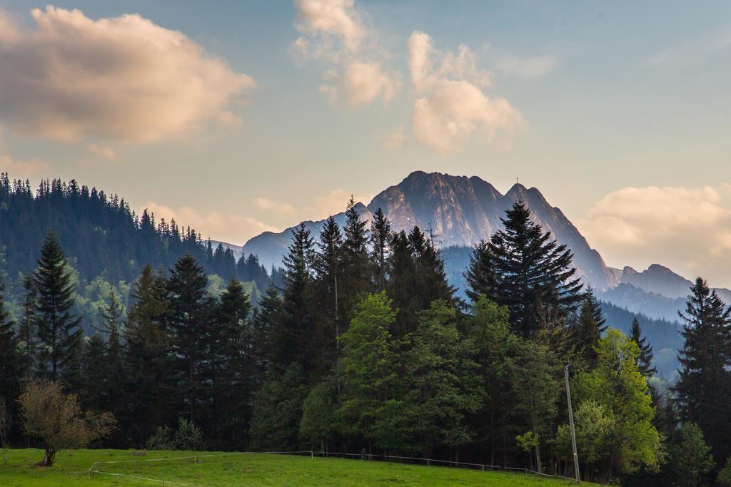 Willa Stachoniowka 2 Zakopane Esterno foto