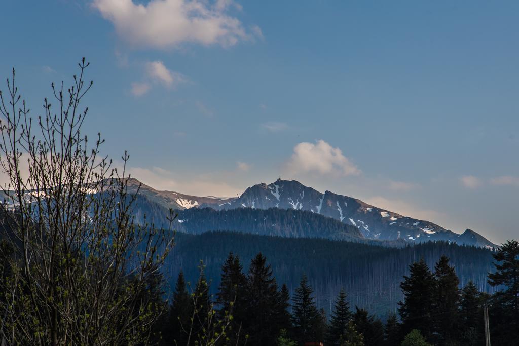 Willa Stachoniowka 2 Zakopane Esterno foto
